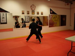 Black Flag Wing Chun